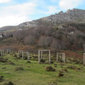 Gorbeia (213)
